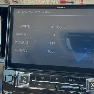 Alpine EX800, EX900, EX1000, X800, X900 ,EX8, EX9,EX10, X9 and more model Unlock