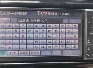 NHZN-W60G